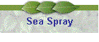 Sea Spray